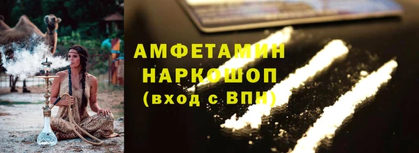 прущие грибы Гусиноозёрск