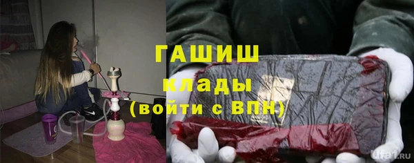 прущие грибы Гусиноозёрск