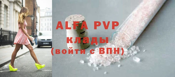 прущие грибы Гусиноозёрск
