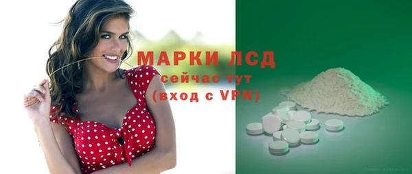 прущие грибы Гусиноозёрск