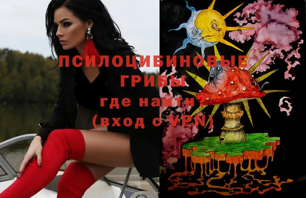 прущие грибы Гусиноозёрск