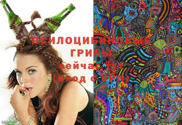 амфетамин Гусев