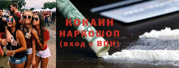 прущие грибы Гусиноозёрск