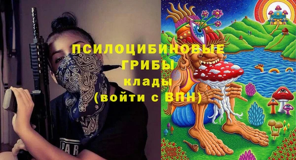 крисы Горняк