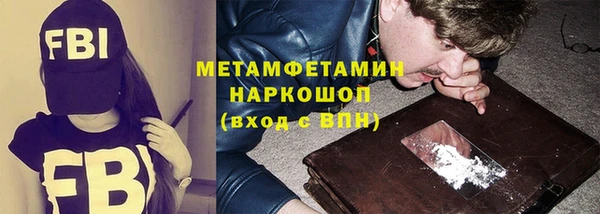 прущие грибы Гусиноозёрск