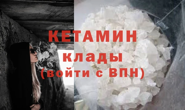 прущие грибы Гусиноозёрск
