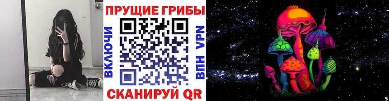 Галлюциногенные грибы Psilocybe  Лаишево 